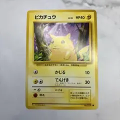 2026年最新】セット詳細：ポケパークプレミアムファイル ポケモン