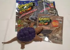 2026年最新】オオアタマガメの人気アイテム - メルカリ