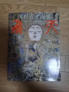 2026年最新】天野喜孝 飛天の人気アイテム - メルカリ