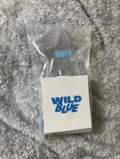 2026年最新】WILDBLUE ペンライトの人気アイテム - メルカリ