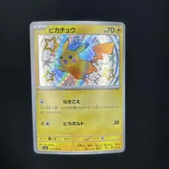 2026年最新】色違いピカチュウSの人気アイテム - メルカリ
