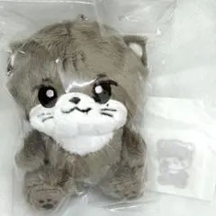 2026年最新】ユウマ &team ぬいぐるみの人気アイテム - メルカリ