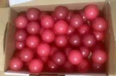 2026年最新】アラビアンジュエル ボールの人気アイテム - メルカリ