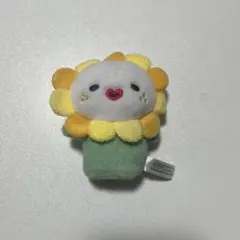 2026年最新】bira jochumの人気アイテム - メルカリ