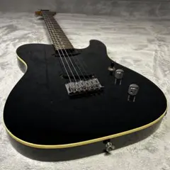 2026年最新】fernandes TEJの人気アイテム - メルカリ