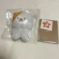 2026年最新】チソン マスターの人気アイテム - メルカリ