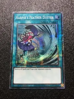 2026年最新】ハーピィの羽根箒絵違いの人気アイテム - メルカリ