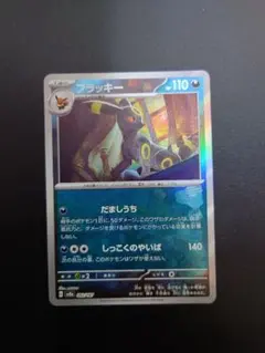 2026年最新】ブラッキー マスターボール エラーの人気アイテム - メルカリ