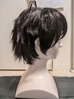 2026年最新】山田三郎 コスプレ ウィッグの人気アイテム - メルカリ