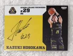 2026年最新】群馬クレインサンダーズ サインの人気アイテム - メルカリ