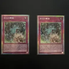 2026年最新】命王の螺旋の人気アイテム - メルカリ