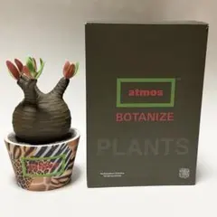 2026年最新】medicom toy グラキリスの人気アイテム - メルカリ