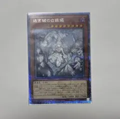 2026年最新】迷宮城の白銀姫 25th 絵違いの人気アイテム - メルカリ