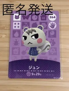 2026年最新】amiiboカード ジュンの人気アイテム - メルカリ