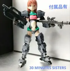 2026年最新】30ms ジャンクの人気アイテム - メルカリ