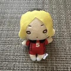 2026年最新】にとたん 研磨 ぬいぐるみの人気アイテム - メルカリ