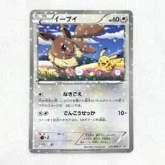 2026年最新】スペシャルキラカード イーブイの人気アイテム - メルカリ