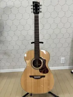 2026年最新】history アコースティックギターの人気アイテム - メルカリ