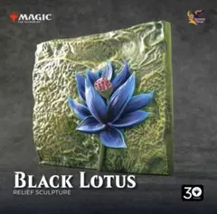 2026年最新】black lotus 30thの人気アイテム - メルカリ