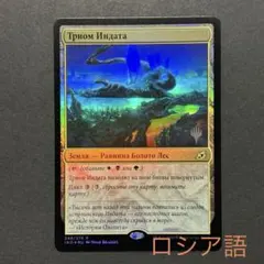 2026年最新】インダサのトライオームの人気アイテム - メルカリ