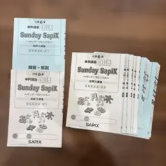 2026年最新】サピックス テキスト 6年の人気アイテム - メルカリ