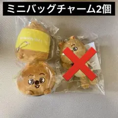 2026年最新】ミニバッグチャーム skzooの人気アイテム - メルカリ