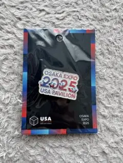 2026年最新】アメリカパビリオンの人気アイテム - メルカリ