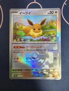 2026年最新】イーブイ マスターボールミラー テラスタルフェスの人気