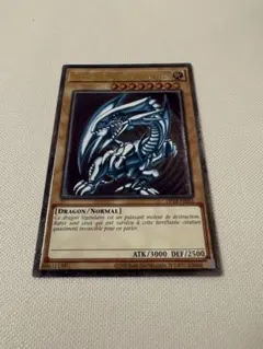 2026年最新】ブルーアイズホワイトドラゴン 初期 レリーフの人気