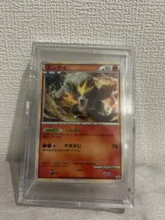 2026年最新】エンテイ 色違いの人気アイテム - メルカリ