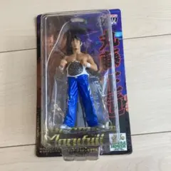 2026年最新】丸藤正道の人気アイテム - メルカリ