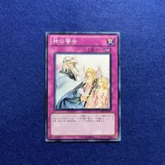 2026年最新】遊戯王エラーカードの人気アイテム - メルカリ