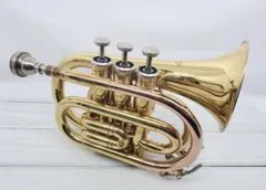 2026年最新】ポケット トランペットの人気アイテム - メルカリ