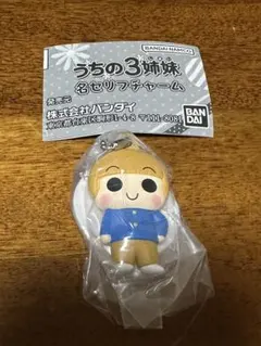 2026年最新】うちの3姉妹 ぬいぐるみの人気アイテム - メルカリ