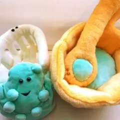 2026年最新】doma48 ぬいぐるみの人気アイテム - メルカリ