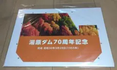 2026年最新】湯原ダムカードの人気アイテム - メルカリ