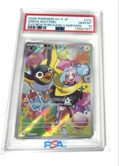 2026年最新】ナンジャモ カイデン psaの人気アイテム - メルカリ