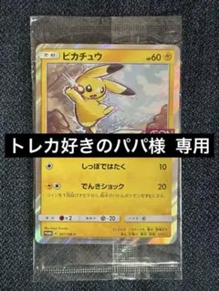 2026年最新】ピカチュウ イオン プロモの人気アイテム - メルカリ