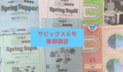 2026年最新】サピックス 6年 テストの人気アイテム - メルカリ