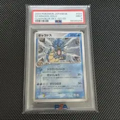 2026年最新】わるいギャラドス psa10の人気アイテム - メルカリ