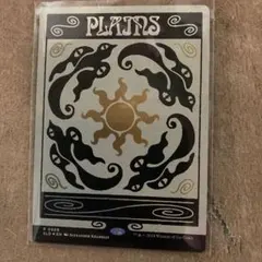 2026年最新】SECRET lair 平地の人気アイテム - メルカリ