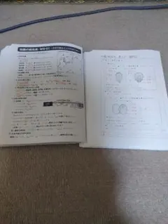 2026年最新】知識の総完成 サピックスの人気アイテム - メルカリ