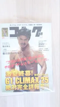 2026年最新】柴田勝頼の人気アイテム - メルカリ