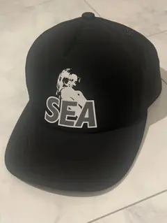 2026年最新】wind and sea ヒステリックグラマー キャップの人気