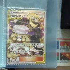 2026年最新】カトレアSRの人気アイテム - メルカリ