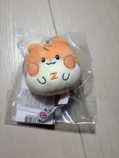 2026年最新】ビニニ zb1の人気アイテム - メルカリ