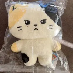 2026年最新】リニニ フラットの人気アイテム - メルカリ