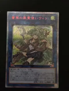 2026年最新】蒼翠の風霊使いウィン シークレットの人気アイテム - メルカリ