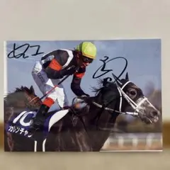 2026年最新】池添謙一の人気アイテム - メルカリ