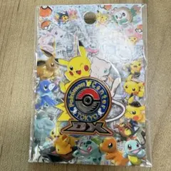 2026年最新】ポケモンセンタートウキョーDX ピンズの人気アイテム
